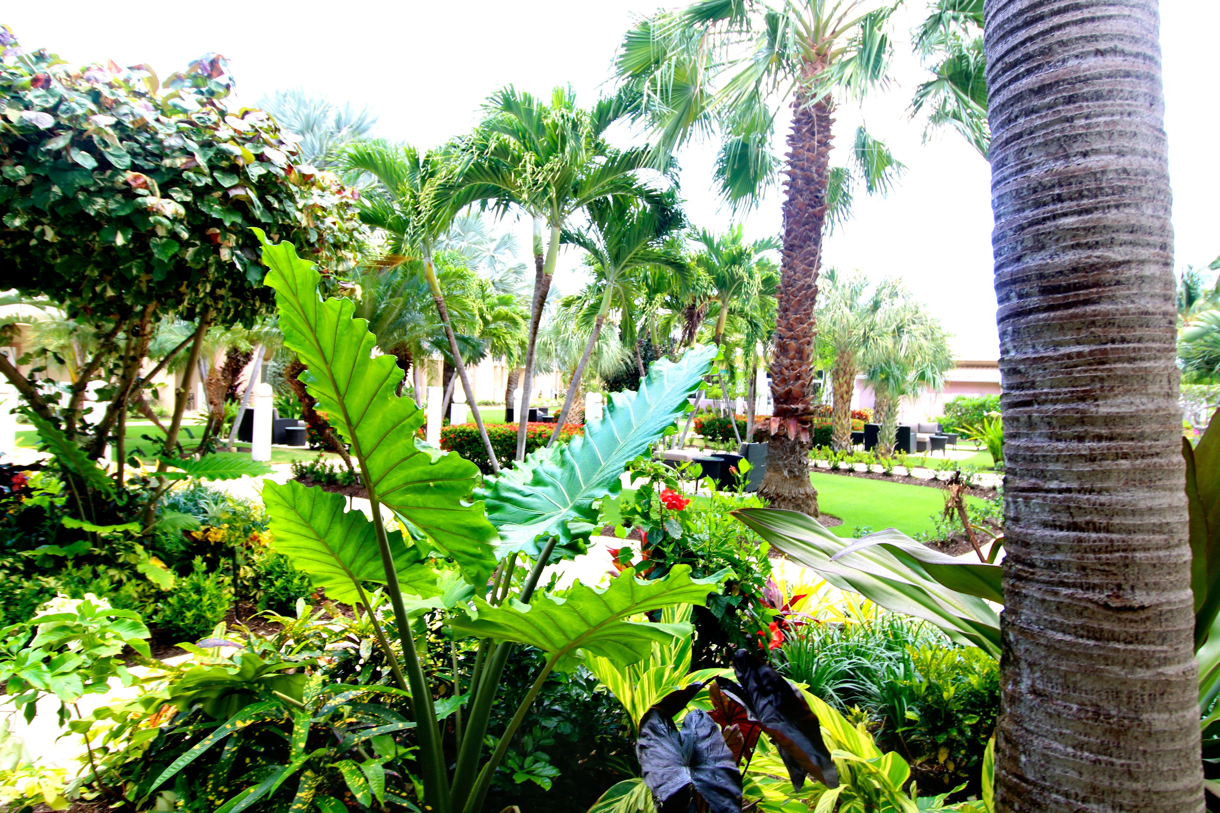 Holiday Inn Resort Grand Cayman By Ihg (Adults Only) West Bay Exterior photo